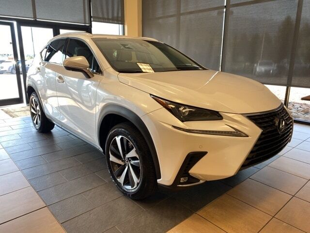 2019 LEXUS NX