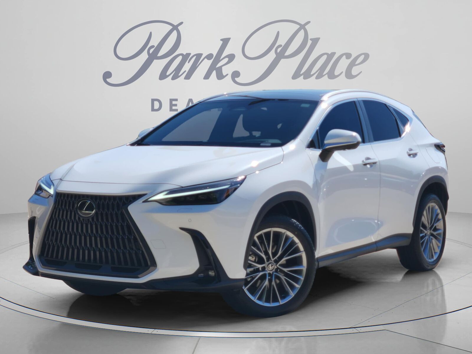 2026 LEXUS NX