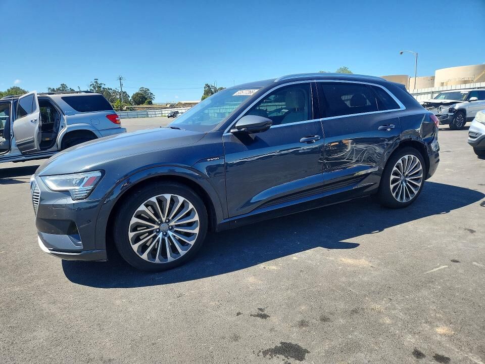 2019 AUDI e-tron