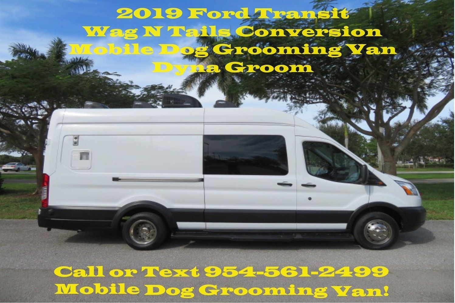 2019 FORD Transit