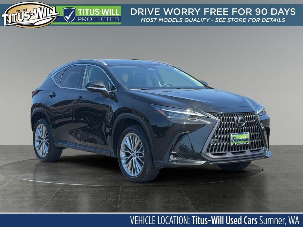 2024 LEXUS NX