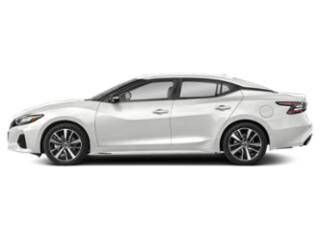 2023 NISSAN Maxima