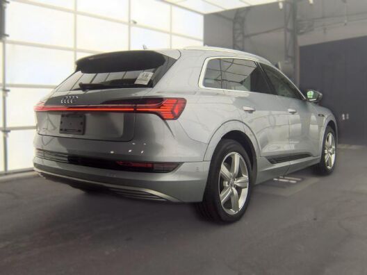 2019 Audi e-tron