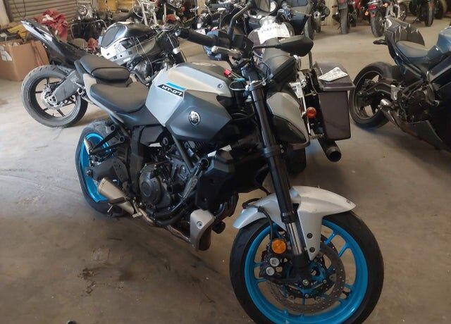 2025 YAMAHA MTN690