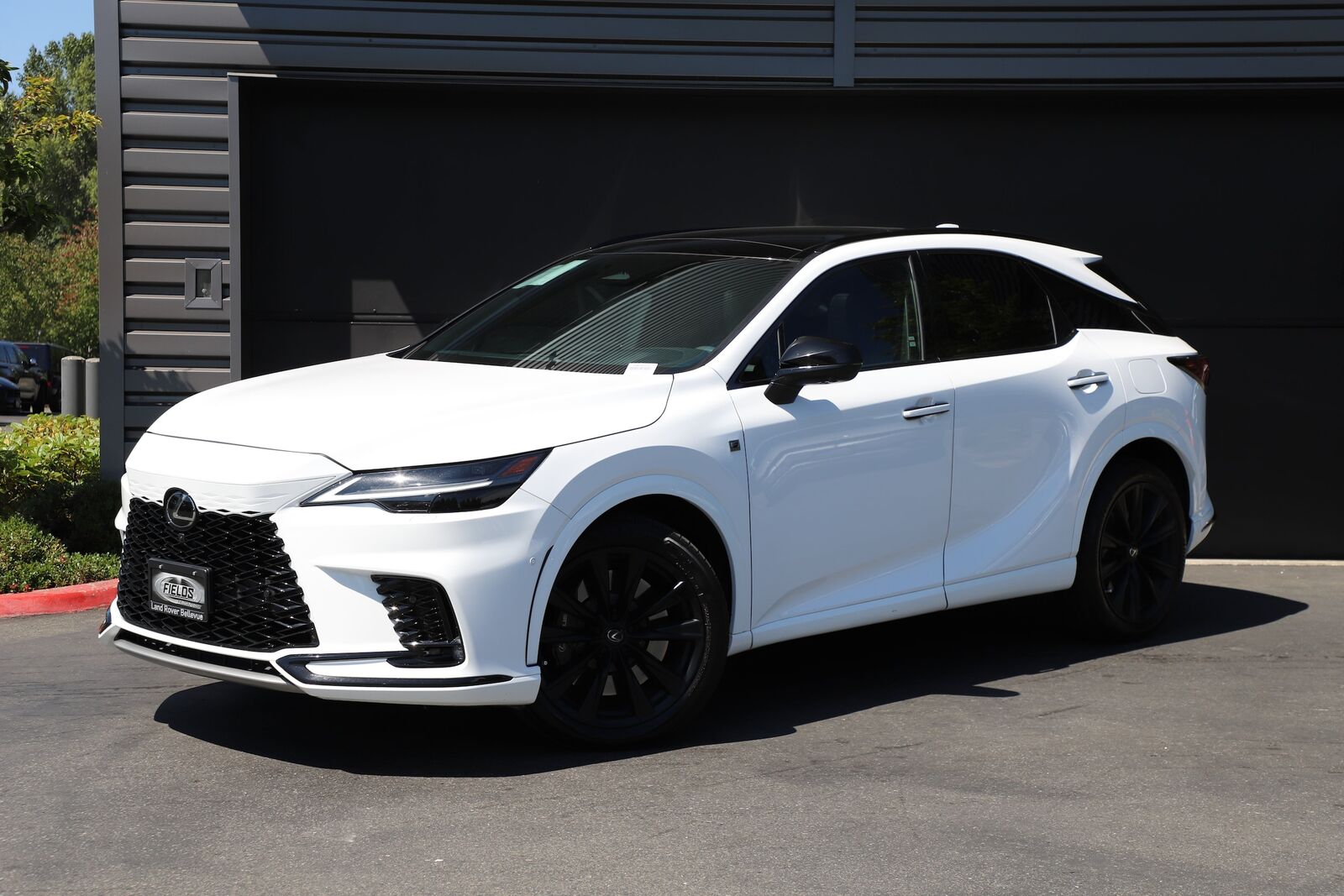 2023 LEXUS RX