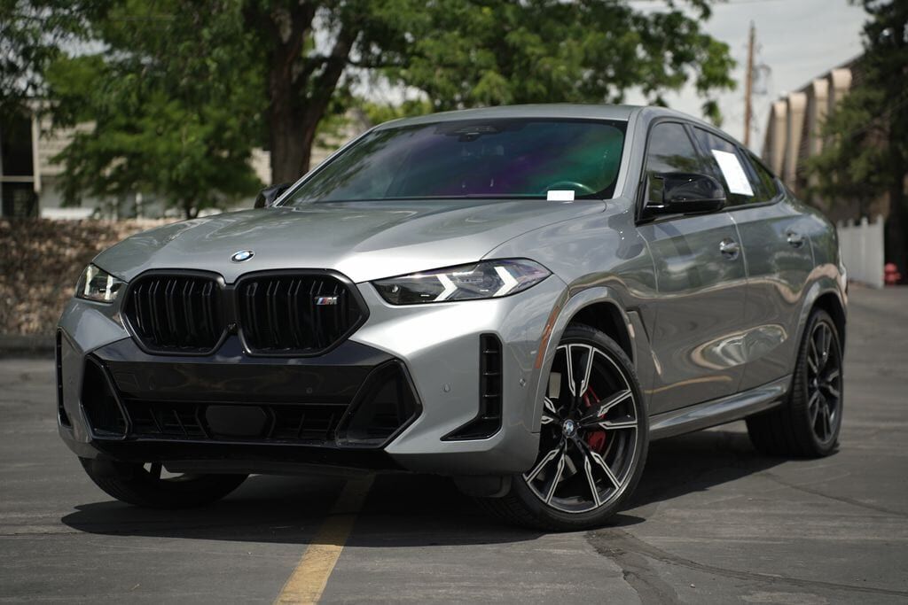 2024 BMW X6