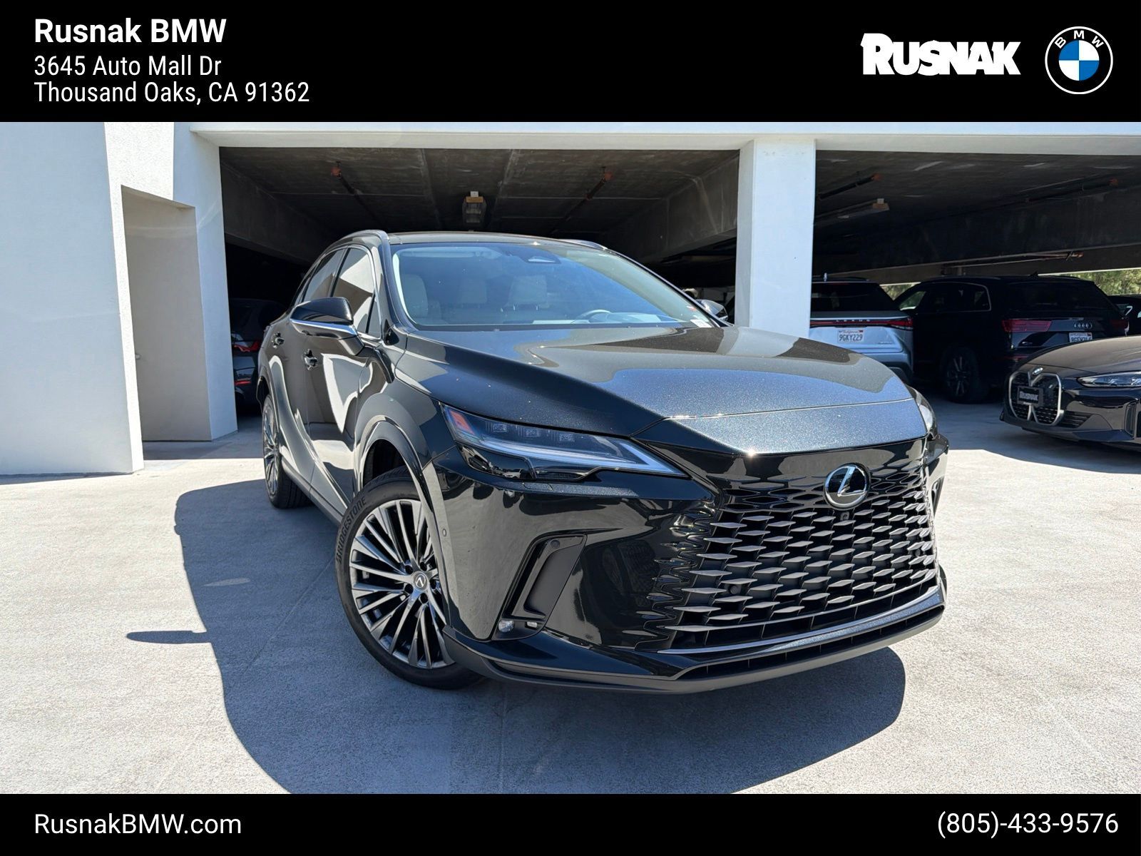 2025 LEXUS RX