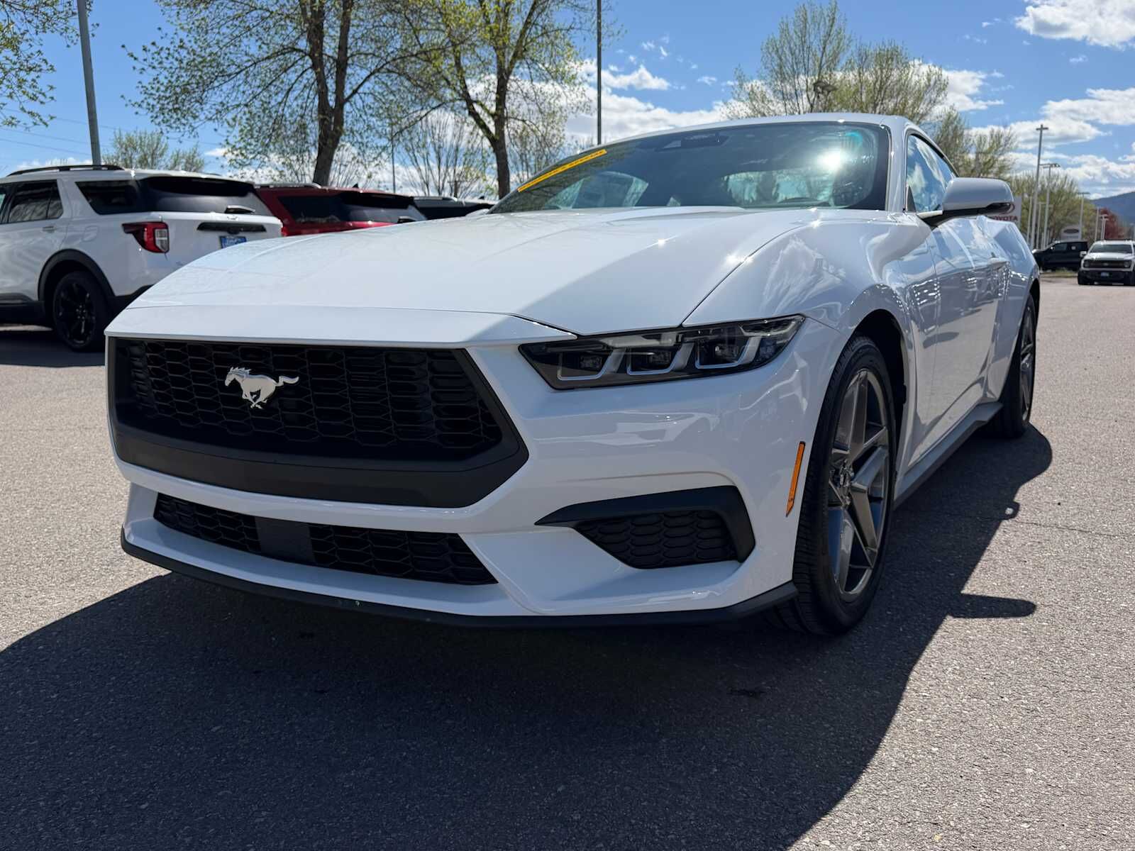 2025 FORD Mustang