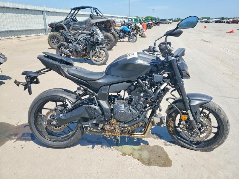 2025 YAMAHA MTN690