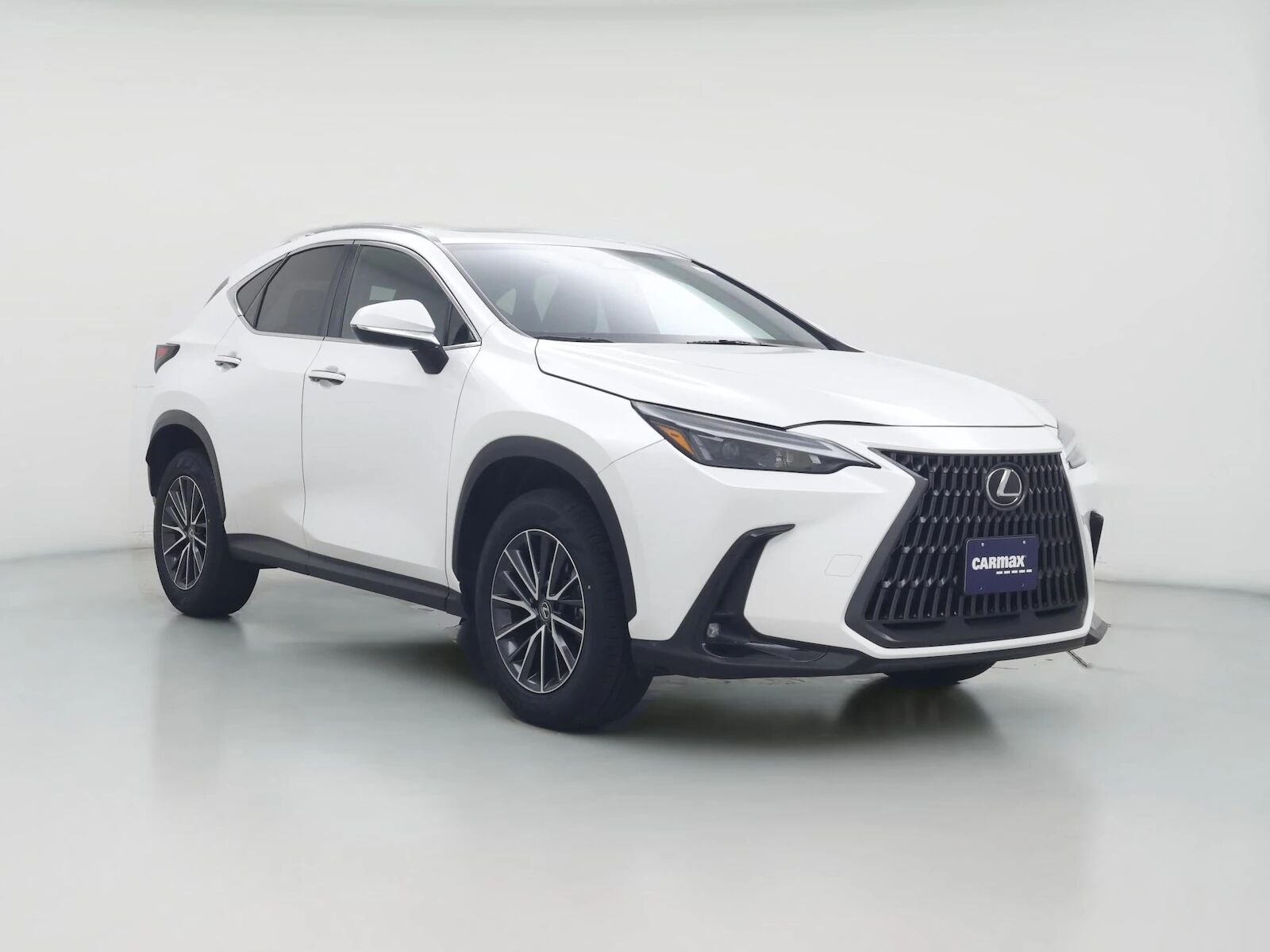 2024 LEXUS NX