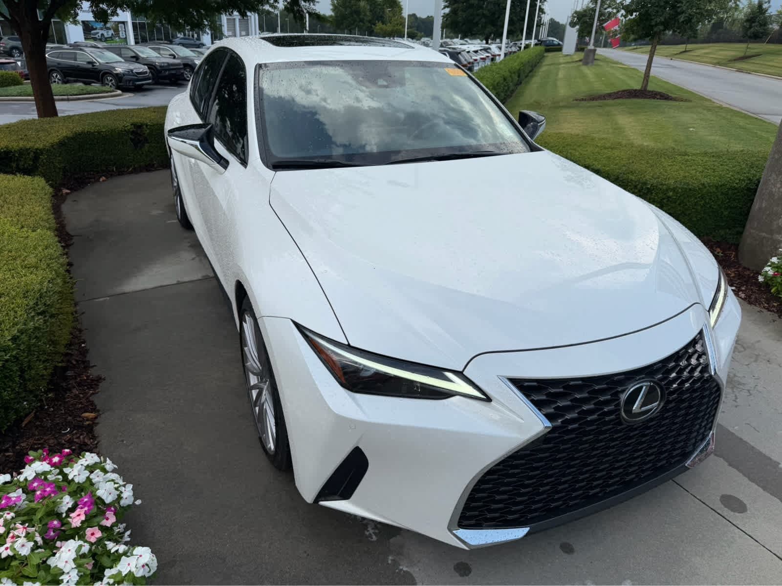 2025 LEXUS IS
