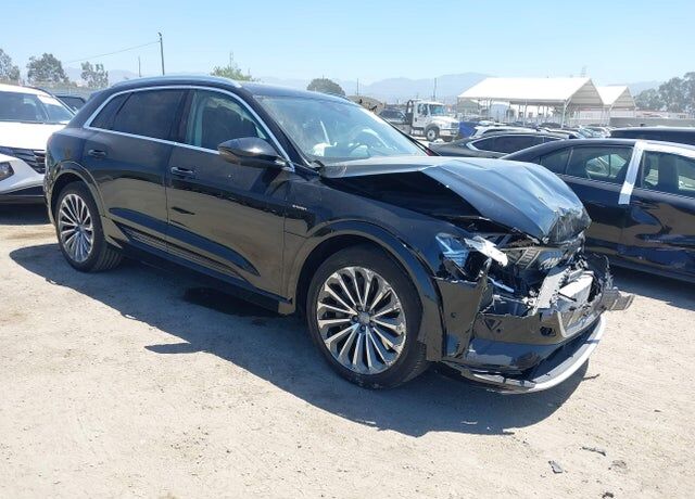 2019 AUDI e-tron