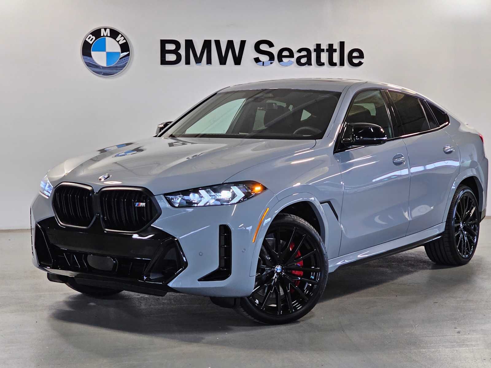 2026 BMW X6
