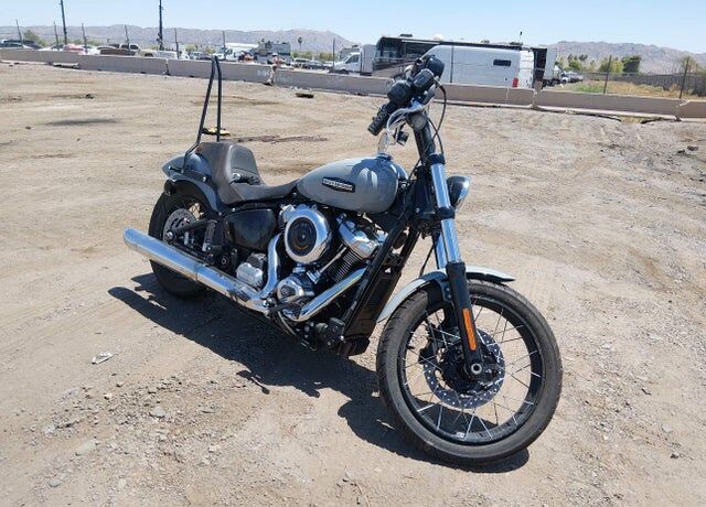 2025 HARLEY-DAVIDSON Street Bob
