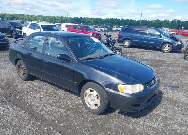 2001 TOYOTA Corolla