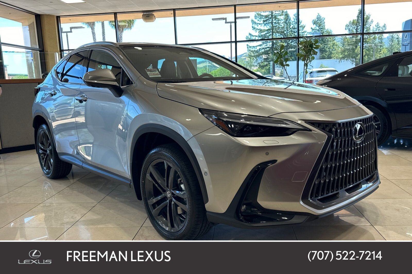 2026 LEXUS NX