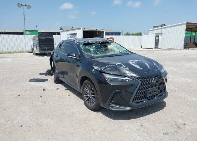 2024 LEXUS NX