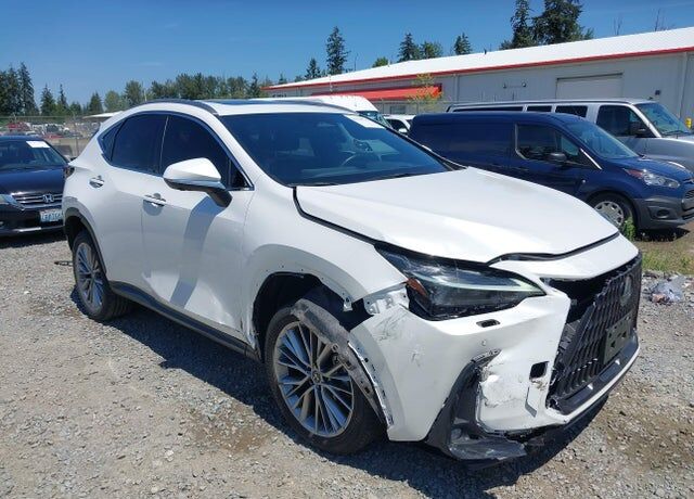 2024 LEXUS NX