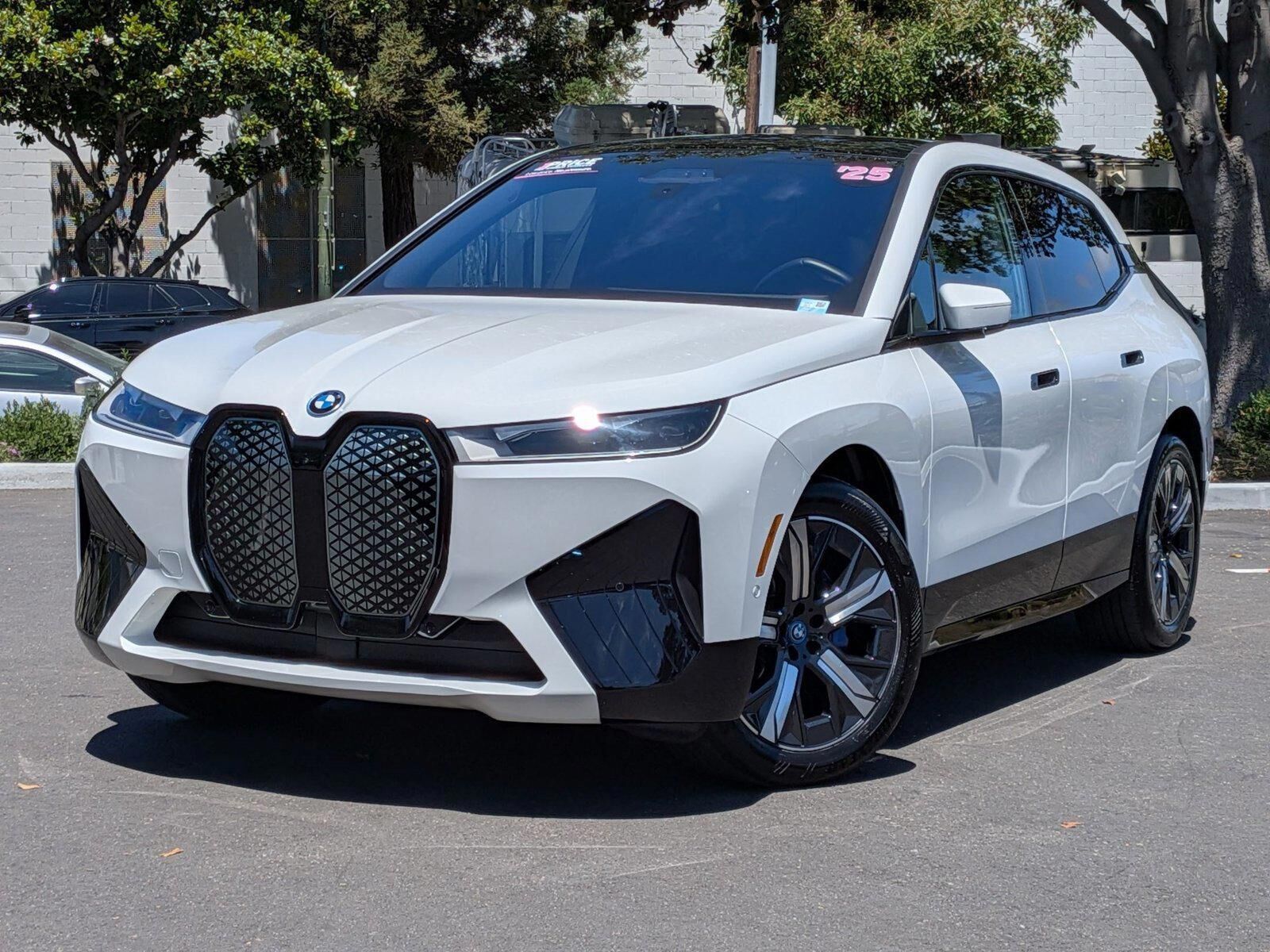 2025 BMW ix