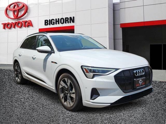 2021 AUDI e-tron