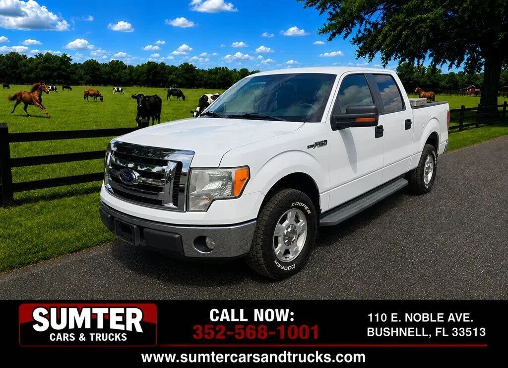 2010 FORD F-150