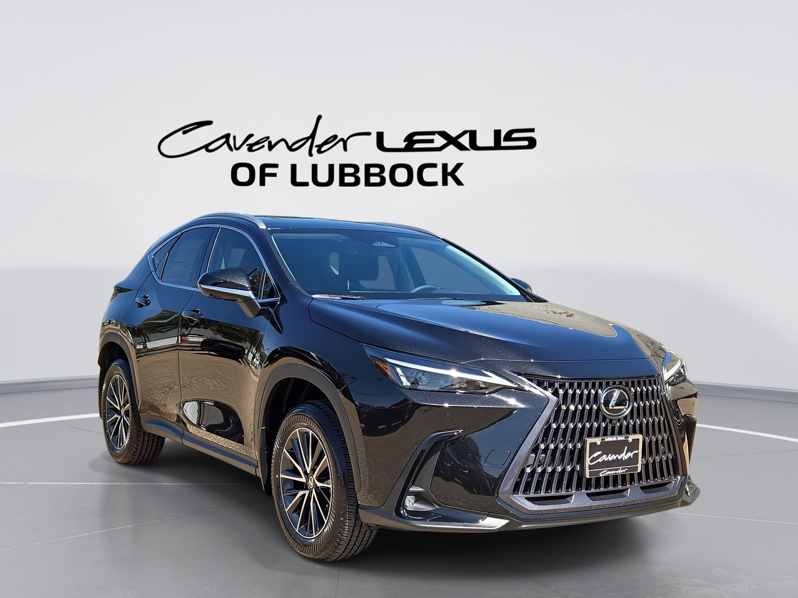2026 LEXUS NX