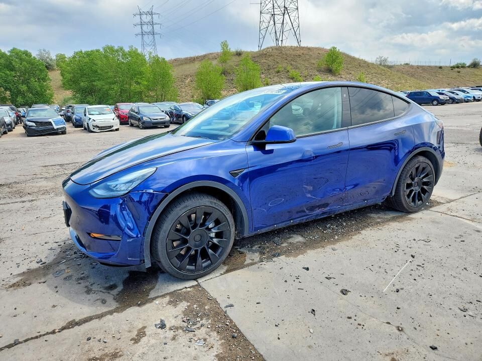 2020 TESLA Model Y