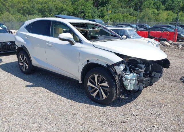 2019 LEXUS NX