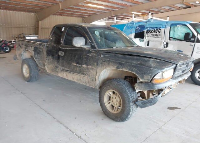 1999 DODGE Dakota
