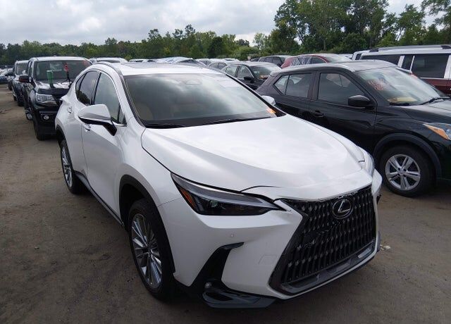 2025 LEXUS NX