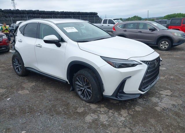 2024 LEXUS NX