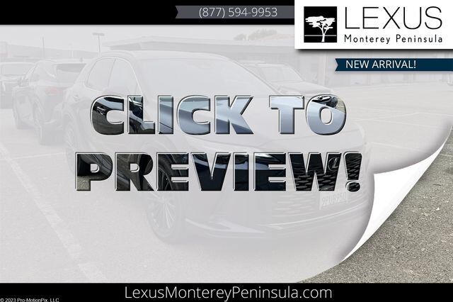 2024 LEXUS RX