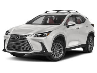 2024 LEXUS NX