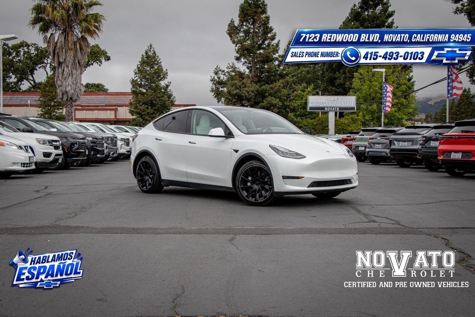 2021 TESLA Model Y