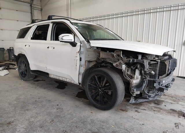 2023 HYUNDAI Palisade