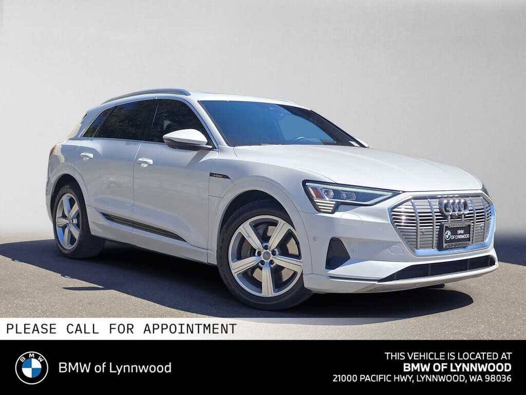 2019 AUDI e-tron