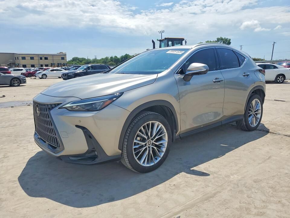 2025 LEXUS NX