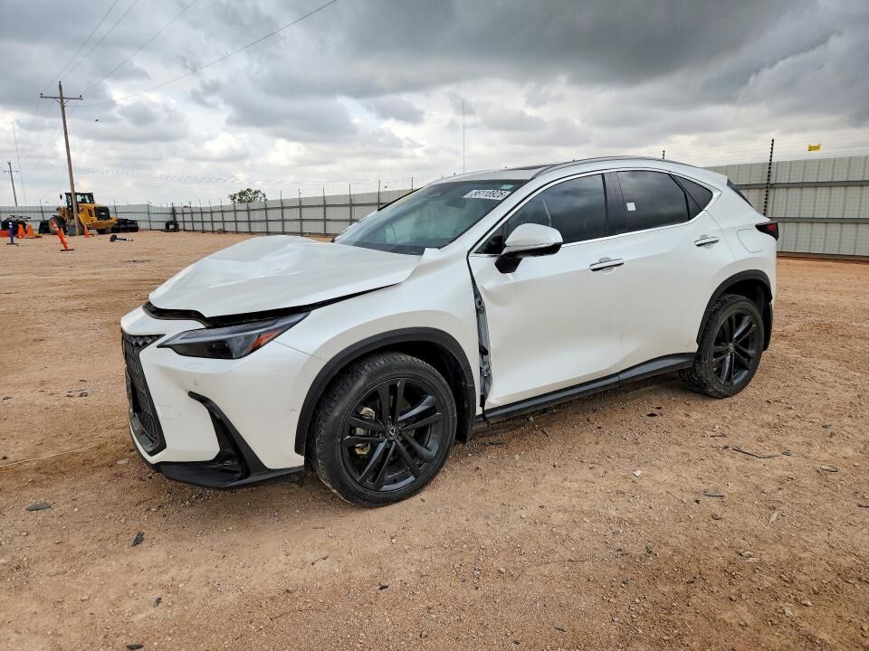 2024 LEXUS NX