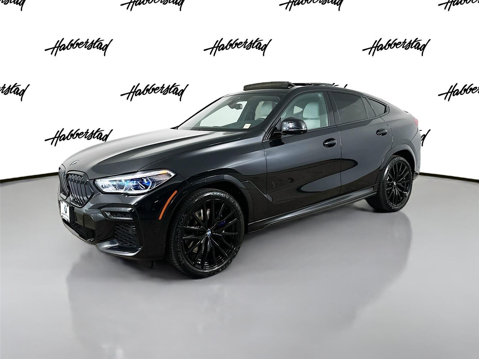 2023 BMW X6
