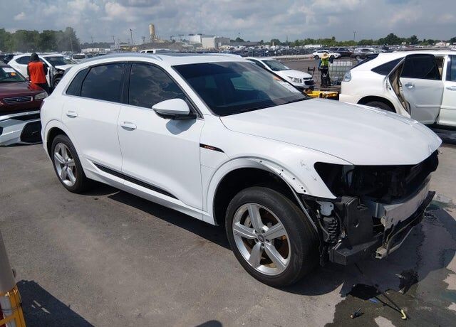 2019 AUDI e-tron