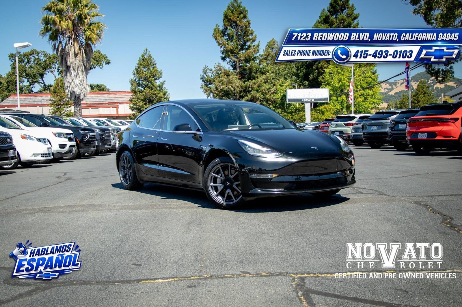 2019 TESLA Model 3