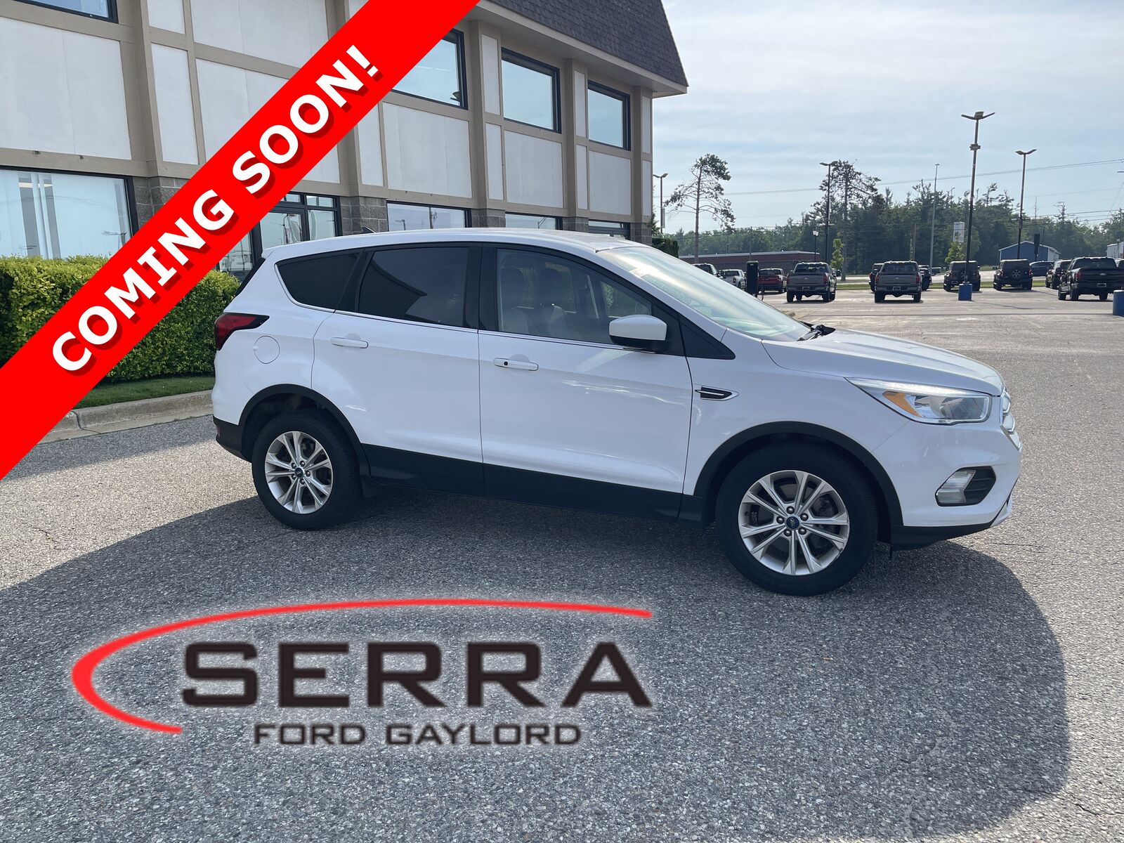 2019 FORD Escape