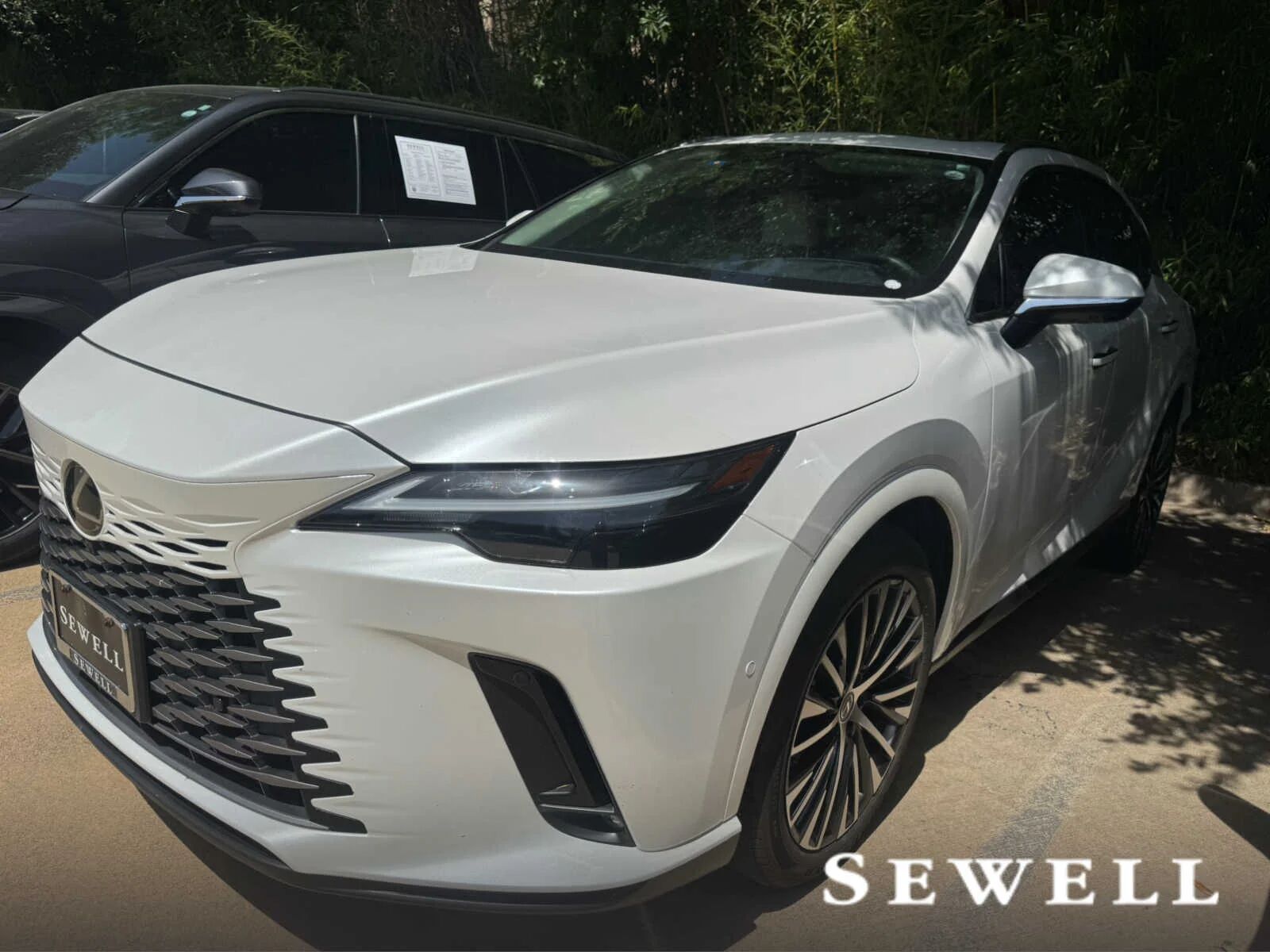 2025 LEXUS RX