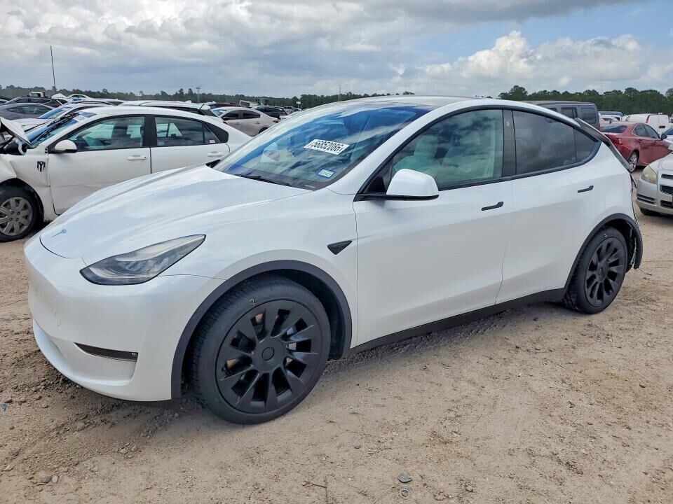 2021 TESLA Model Y