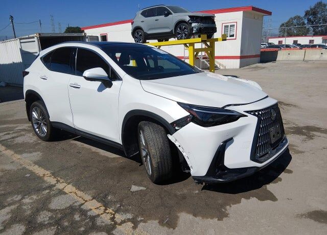 2024 LEXUS NX