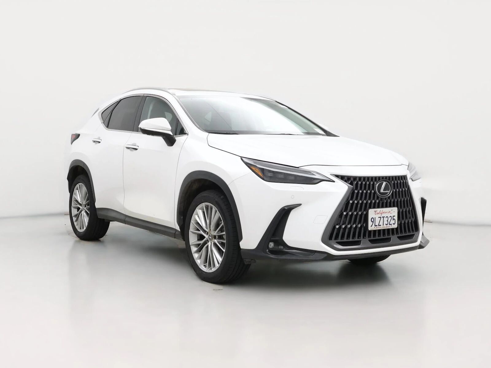 2024 LEXUS NX