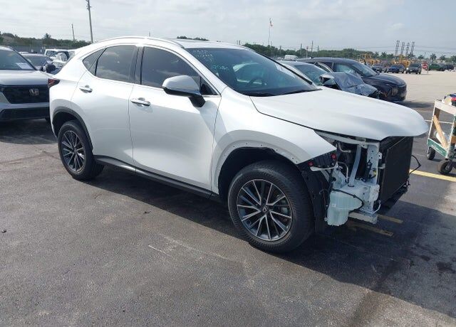 2025 LEXUS NX