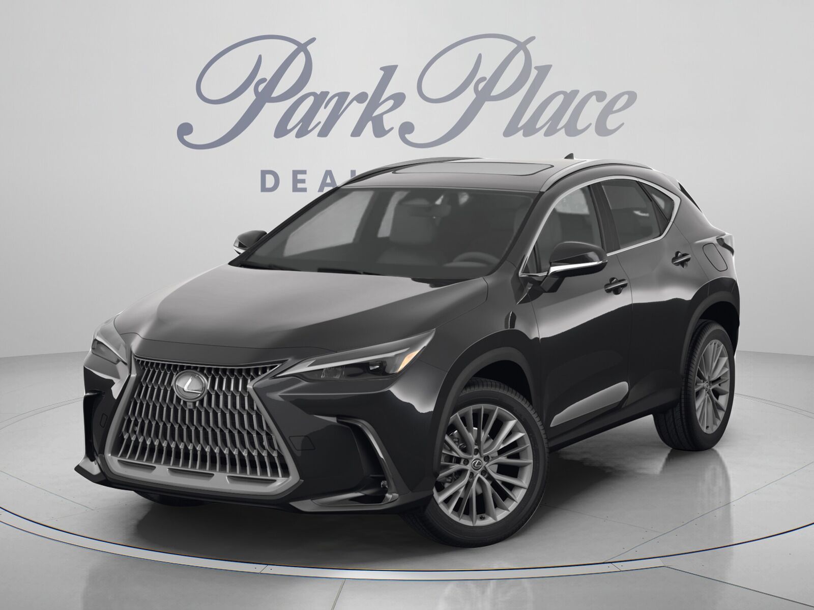 2025 LEXUS NX