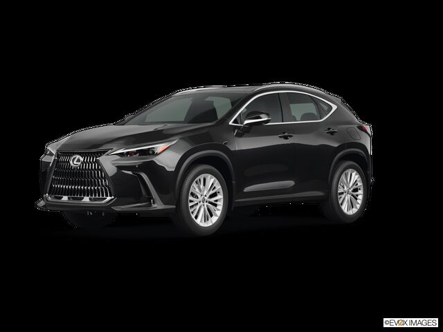 2026 LEXUS NX