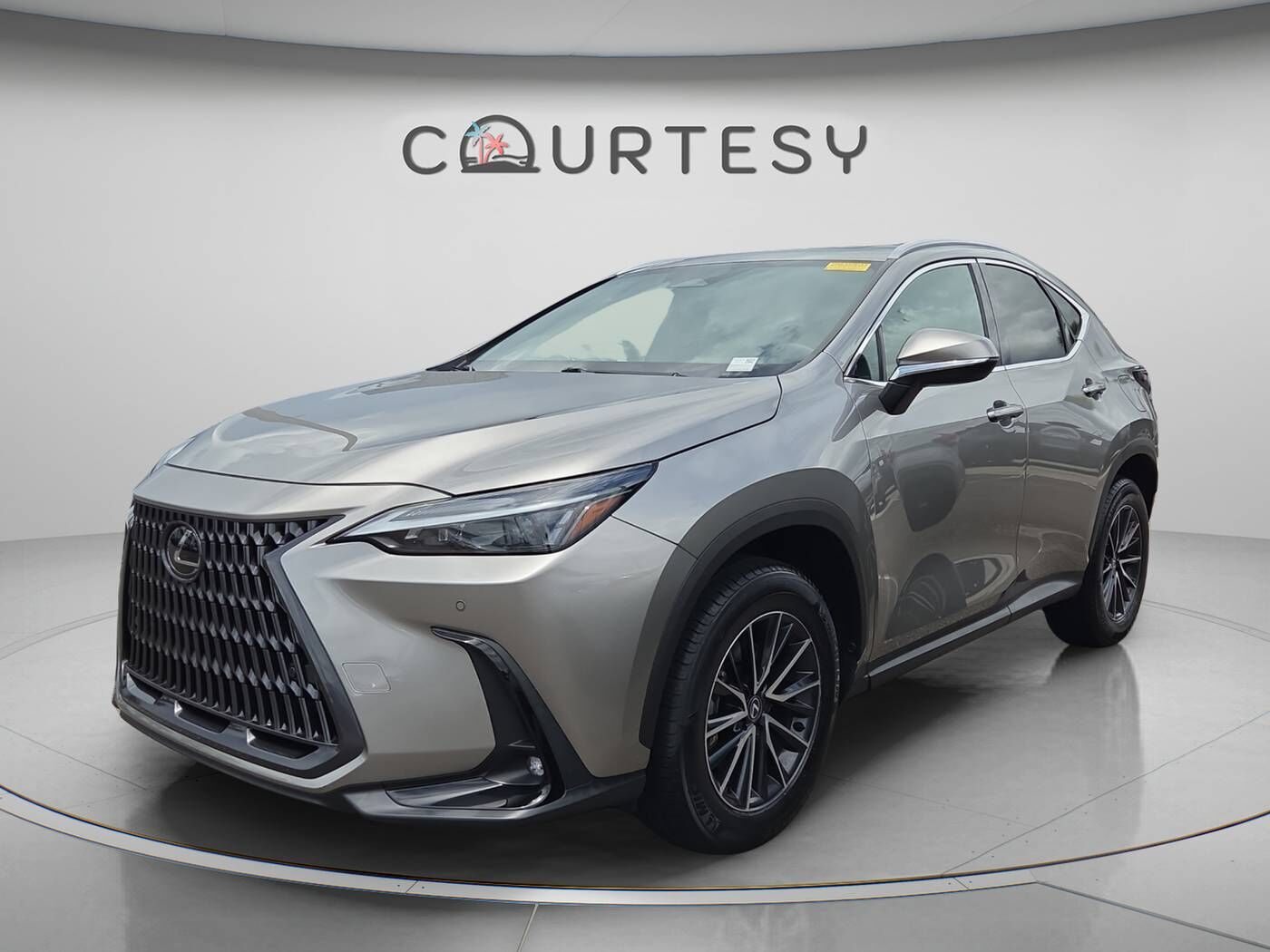 2024 LEXUS NX